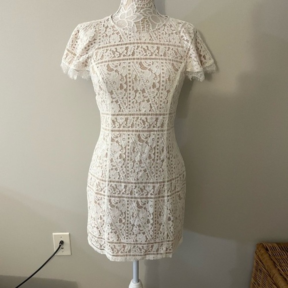 Endless Rose Lace Open Back Dress